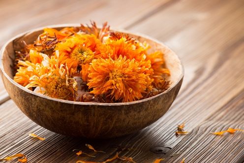 CALENDULA